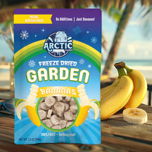Load image into Gallery viewer, Freeze Dried Banana Chips