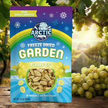 Load image into Gallery viewer, Freeze Dried Green Grapes