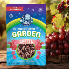 Load image into Gallery viewer, Freeze Dried Red Grapes