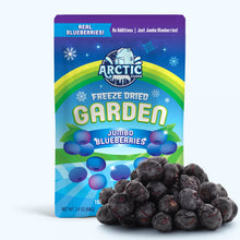 Load image into Gallery viewer, Freeze Dried JUMBO Blueberries