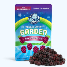 Load image into Gallery viewer, Freeze Dried Boysenberry