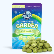 Load image into Gallery viewer, Freeze Dried Kiwi Berry (Baby Kiwi)