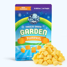 Load image into Gallery viewer, Freeze Dried Pumpkin