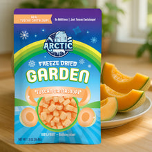 Load image into Gallery viewer, Freeze Dried Tuscan Cantaloupe Melon