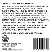 Load image into Gallery viewer, Chocolate Pecan Fudge