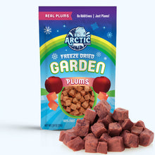 Load image into Gallery viewer, Freeze Dried Plum