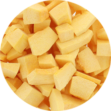 Load image into Gallery viewer, Freeze Dried Pumpkin