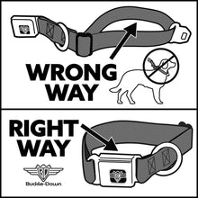 Load image into Gallery viewer, Dog Bone Seatbelt Buckle Collar - Cali License Plates Stacked