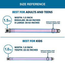 Load image into Gallery viewer, BD Wings Logo CLOSE-UP Full Color Black Silver Seatbelt Belt - Flag Transgender Baby Blue/Baby Pink/White Webbing