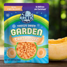Load image into Gallery viewer, Freeze Dried Cantaloupe Melon