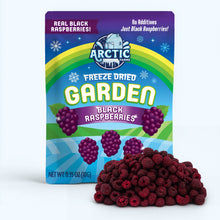 Load image into Gallery viewer, Freeze Dried Black Raspberry