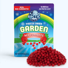 Load image into Gallery viewer, Freeze Dried Red Currant