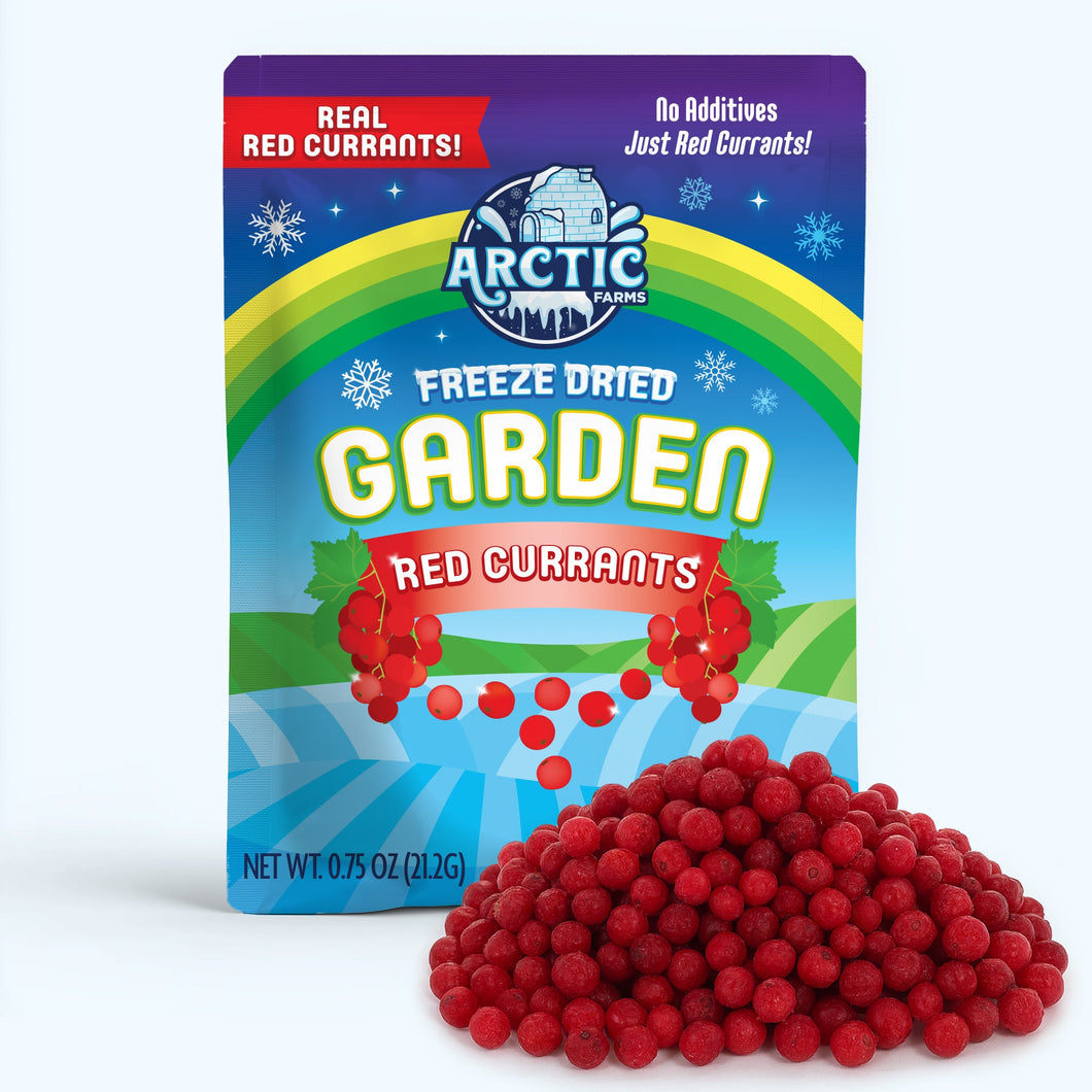 Freeze Dried Red Currant