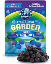 Load image into Gallery viewer, Freeze Dried Blueberries
