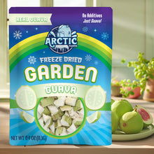 Load image into Gallery viewer, Freeze Dried Guava