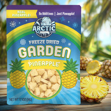 Load image into Gallery viewer, Freeze Dried Pineapple