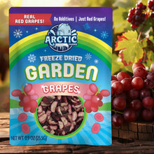 Load image into Gallery viewer, Freeze Dried Red Grapes