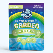 Load image into Gallery viewer, Freeze Dried Kiwi Berry (Baby Kiwi)