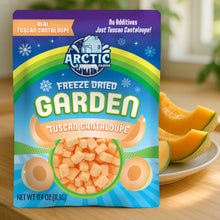 Load image into Gallery viewer, Freeze Dried Tuscan Cantaloupe Melon