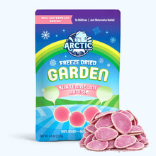 Load image into Gallery viewer, Freeze Dried Watermelon Radish Chips