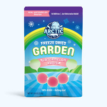 Load image into Gallery viewer, Freeze Dried Watermelon Radish Chips