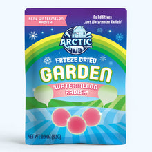 Load image into Gallery viewer, Freeze Dried Watermelon Radish Chips