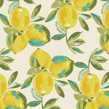 Load image into Gallery viewer, Napkins - 100% Cotton