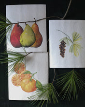 Load image into Gallery viewer, Hostess set of 3 | Pears, Tangerine, and Pinecone (Botanical artist Cara Cummings)