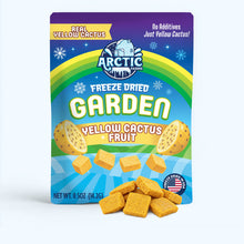 Load image into Gallery viewer, Freeze Dried Yellow Cactus Fruit (Prickly Pear)