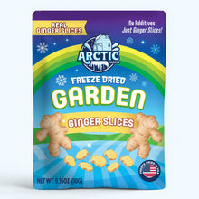 Load image into Gallery viewer, Freeze Dried Ginger Slices