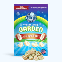 Load image into Gallery viewer, Freeze Dried Jujubes Fruit
