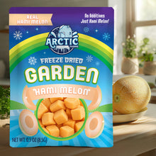 Load image into Gallery viewer, Freeze Dried Golden Hami Melon