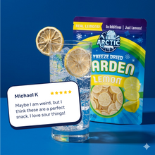 Load image into Gallery viewer, Freeze Dried Lemon Slices